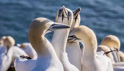 彩经网官网首页-IM电竞官网：引领电竞新时代的官方平台